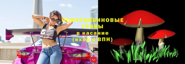 прущая мука Пролетарск