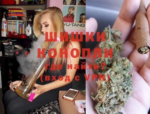 прущие грибы Абинск