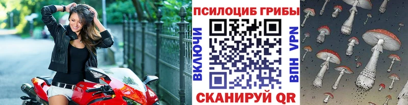 наркошоп  Пролетарск  shop телеграм  Галлюциногенные грибы Magic Shrooms 
